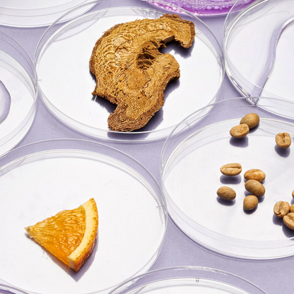 Kopfhaut- & Haarserum | Regeneration & Wachstum